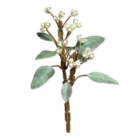 RAMO DI EUCALIPTO CM68